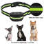 Collier de dressage pour chien