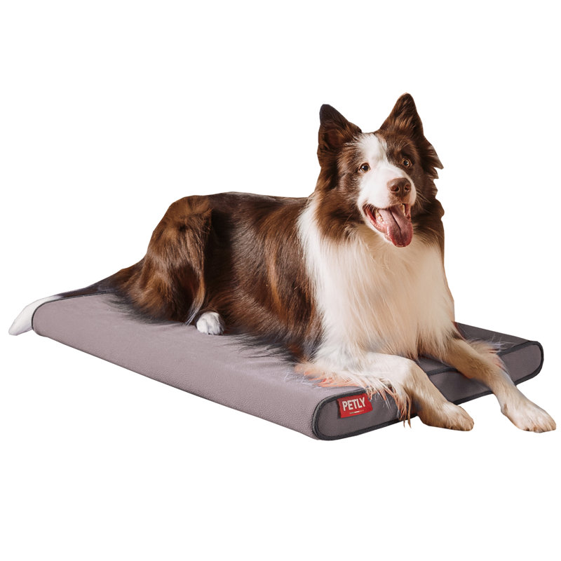 Orthopedic Microfibre Pet Bed, Medium (80cm W x 60cm D), Light Grey