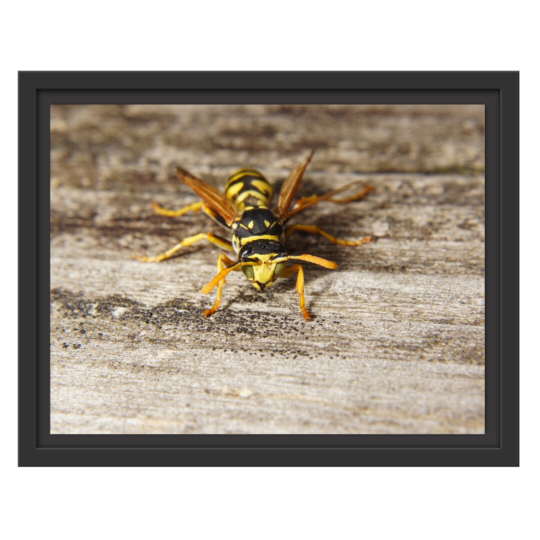 Gerahmtes Wandbild kleine Biene auf Holz