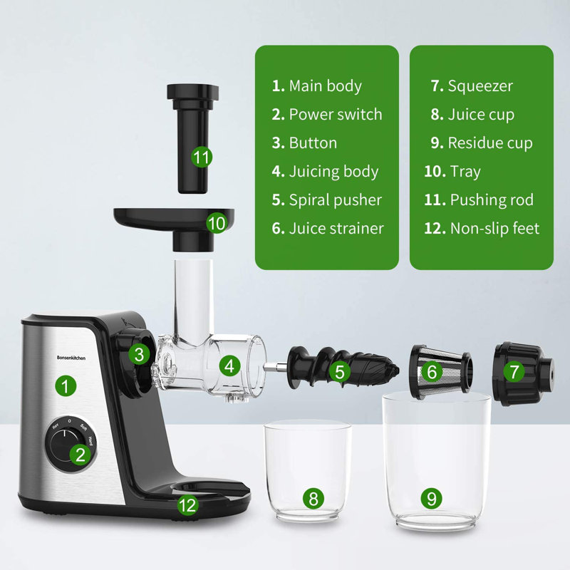 Slow Masticating Juicer Extractor