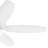 52'' Ceiling Fan with LED Lights-894715738