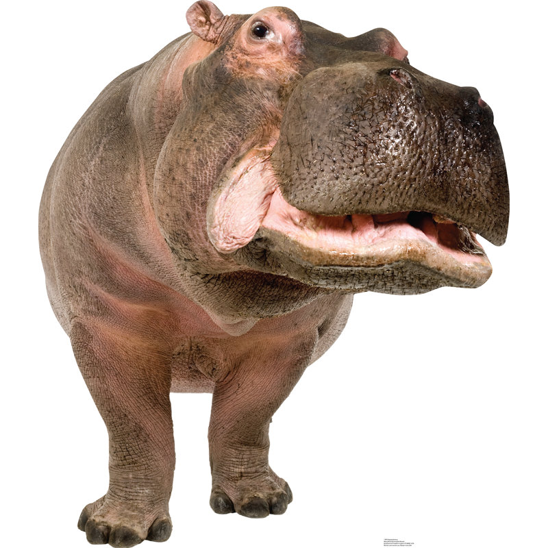 56'' Animals Cardboard Standup