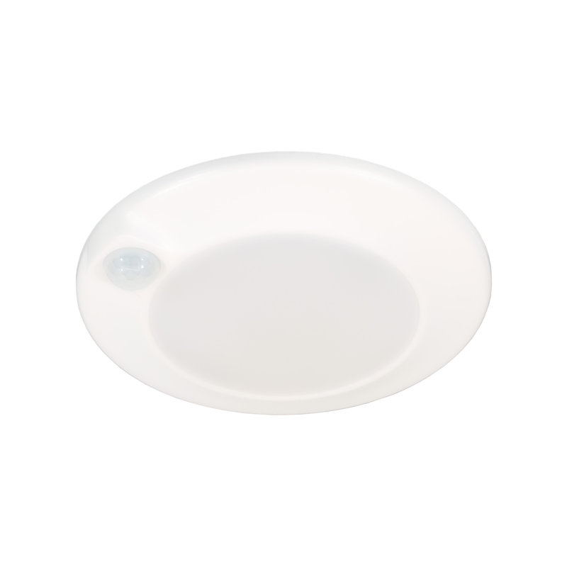 LED Flush Mount