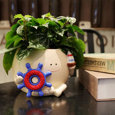 Adorable Smiley Face Beach - style Planter: With Drainage Hole, Fits Small Plants, Unique Festival Gift Option