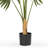 4ft Artificial California Palm Tree In Plastic Nursery Pot