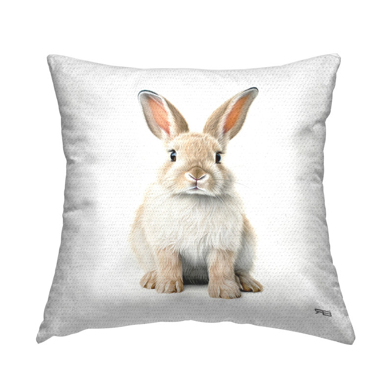Coussin Soft Soft