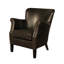 Puttney Armchair-16792693