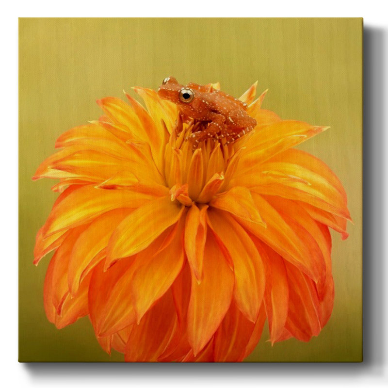 " Hanging On V ", 16" H x 16" W x 1.5" D