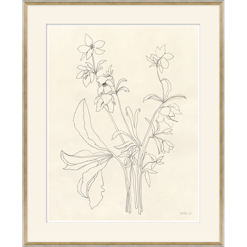 Helebore Study I Giclee Print by Susan Hable