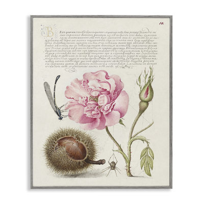 Art antique par estampe numérique par Joris Hoefnagel