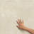 Reve Roseliere Deco 11-3/4 in. x 23-1/2 in. Porcelain Wall Tile-124459220