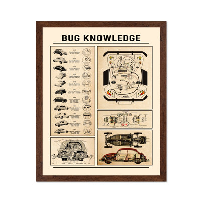 Bug Knowledge