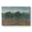 Olive - Vincent van Gogh - Toile tendue avec châssis - 1889-1982905647