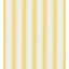 SHIRRED STRIPE-181132121