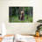 Brampt Grizzly Bear Group-108815746