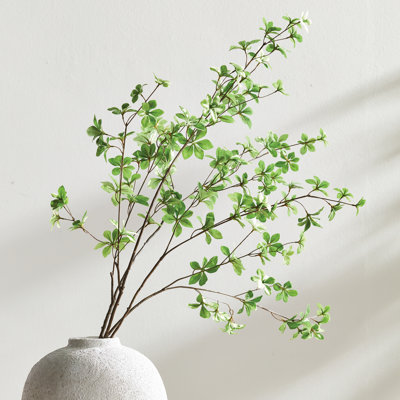 Iguann JAPANESE DODAN BRANCH 50 "