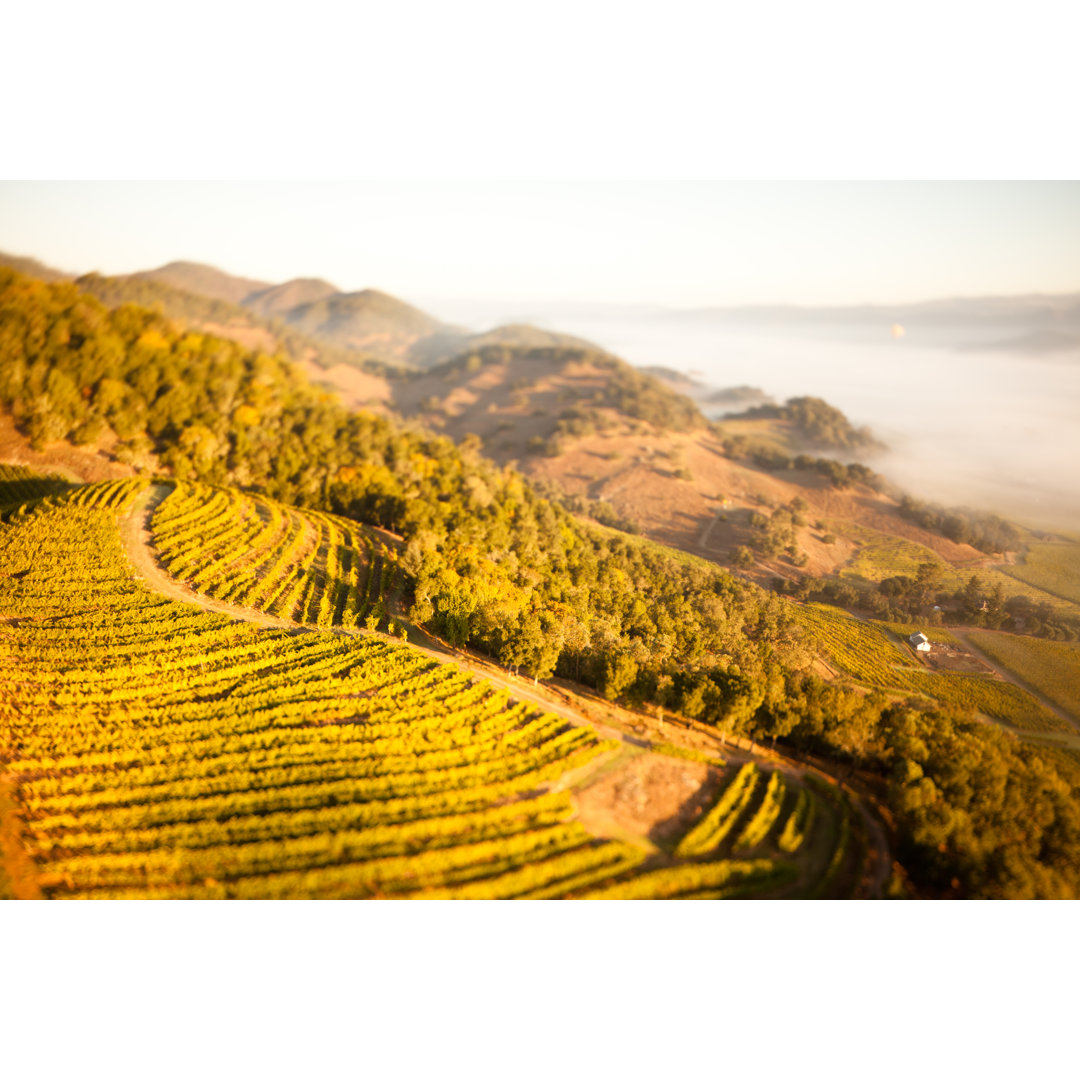 Napa Valley von Epicurean - Kunstdrucke auf Leinwand