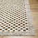 Camil Checkered Indoor Rug