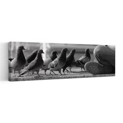 Art mural urbain, pigeons urbains, «Quiet Moment»