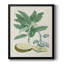 Toile encadrée de qualité supérieure Buchoz Tropicals IV - prête à être accrochée-1871949198-1871949196