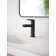 Moen Meena Single Hole Bathroom Faucet with Drain Assembly