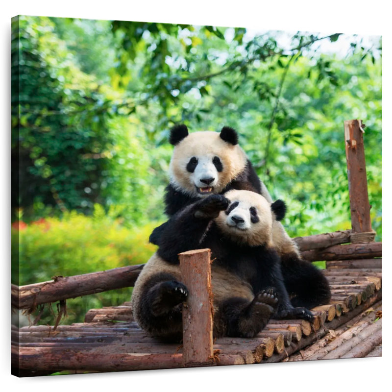 Crowle Panda Twins, 16" H x 16" W