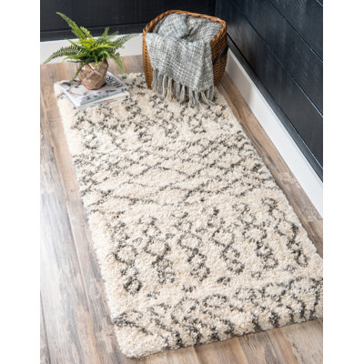 Southwestern Shag Area Rug