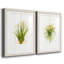 «Hanging Airplant II», ensemble de 2 impressions-446387496-487734114