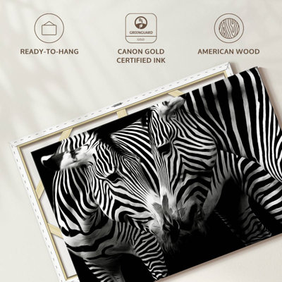 Nuzzling Zebra