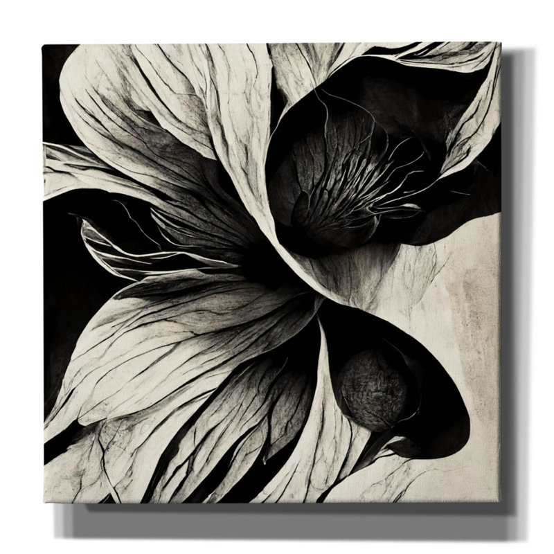 "Winston Porter" Flowers Black White 20 "par Ray Heere, art mural sur toile, H 12 po x l 12 po x P 0,75 po