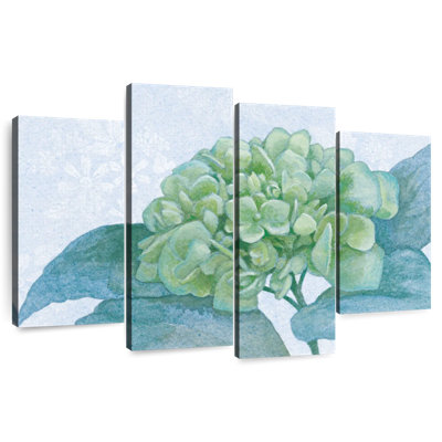 Hortensia bleu Harnek I