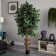 72'' Faux Ficus Tree in Pot