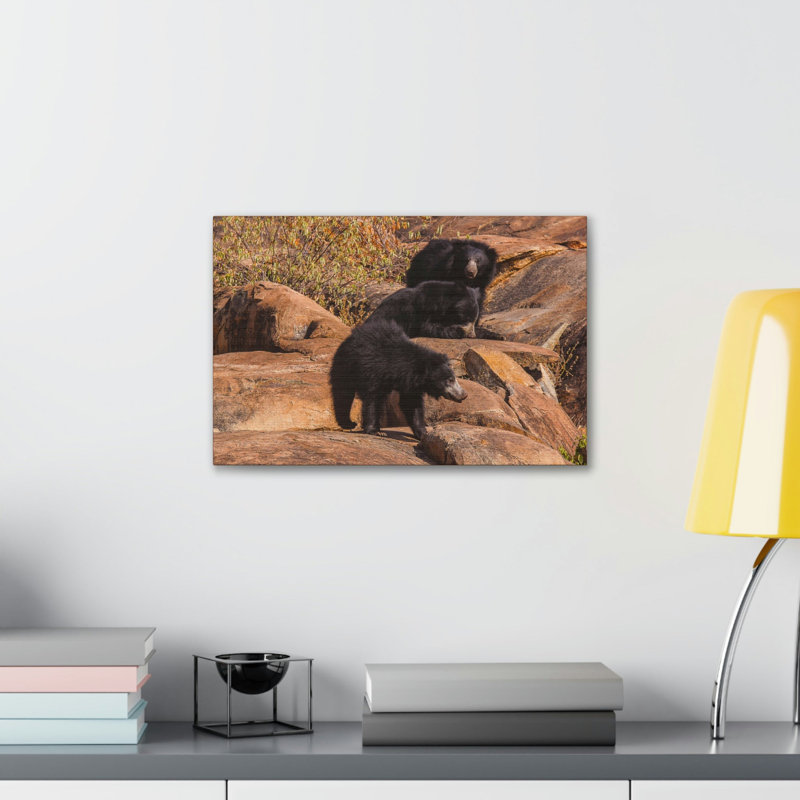 «Sloth Bear Group», art mural paresseux