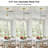 1-Light Pendant Light with Clear Glass Brass Base-1242253709