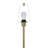 Diascia 61.5'' Traditional Floor Lamp