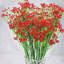 Arrangement floral Baby's Breath-1070477544-1070477539