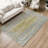Machine Washable Indoor/Outdoor Matteson ACN2309 Abstract Rug-1484597719