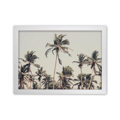 Palm Trees on the Beach 1 Piece Wall Art