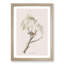 Chipping Sparrow Bird by John Audubon - Picture Frame Painting Print-55545969-55545970