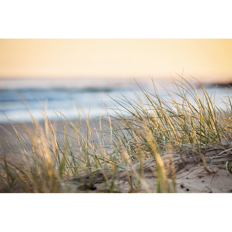 Sand Dunes, Coolangatta, Queensland - Photographie sur toile tendue, H 8 po x l 12 po