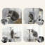 Multi-Level Cat Tree with Condo & Sisal Scratching Posts