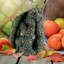 Statue de jardin tortue penseur