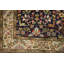 Tapis traditionnel exquis 7 x 9