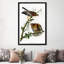 « red-épaulee hawk » par john james audubon, reproduction d’art sur toile-774591317-719765892-774591318