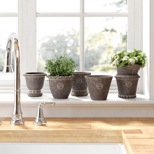 Olly & Rose Large Ceramic Planter Bowl for Plants Flowers Succulents Cactus  Shallow Plant Pot Cream 