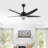 Bedinotti 52'' Ceiling Fan with LED Lights