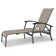 Askar Outdoor Rust-Resistant Metal Chaise Lounge