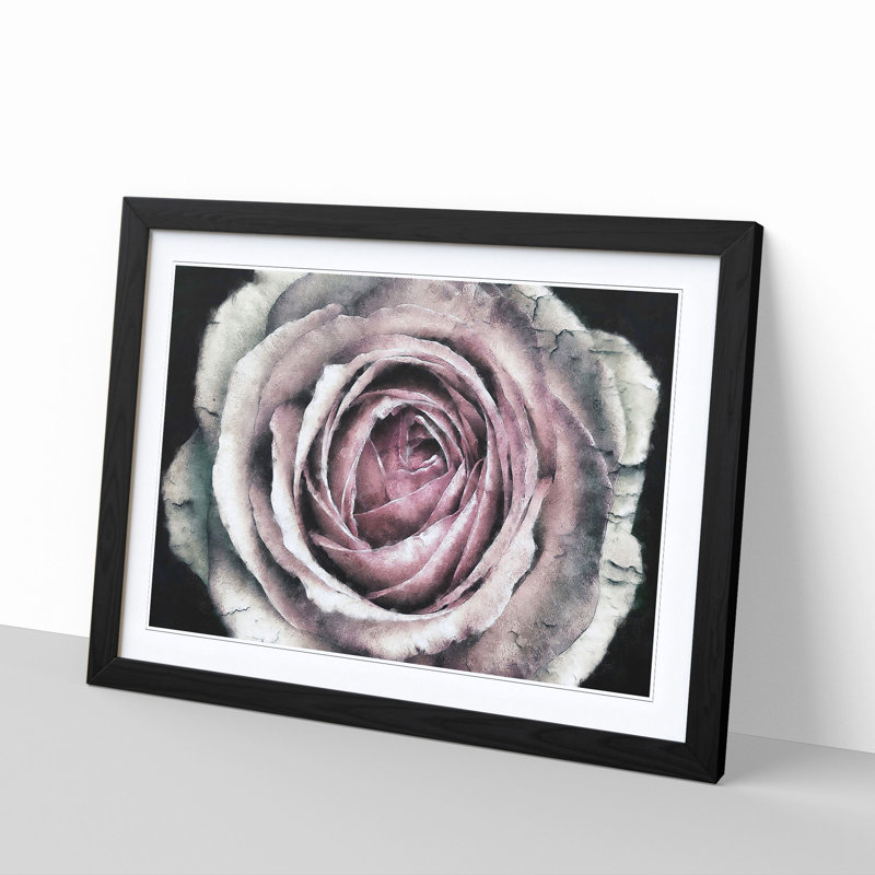 A Pale Pink Rose - Single Picture Frame Painting on MDF, 33cm H x 45cm W x 2cm D, Black