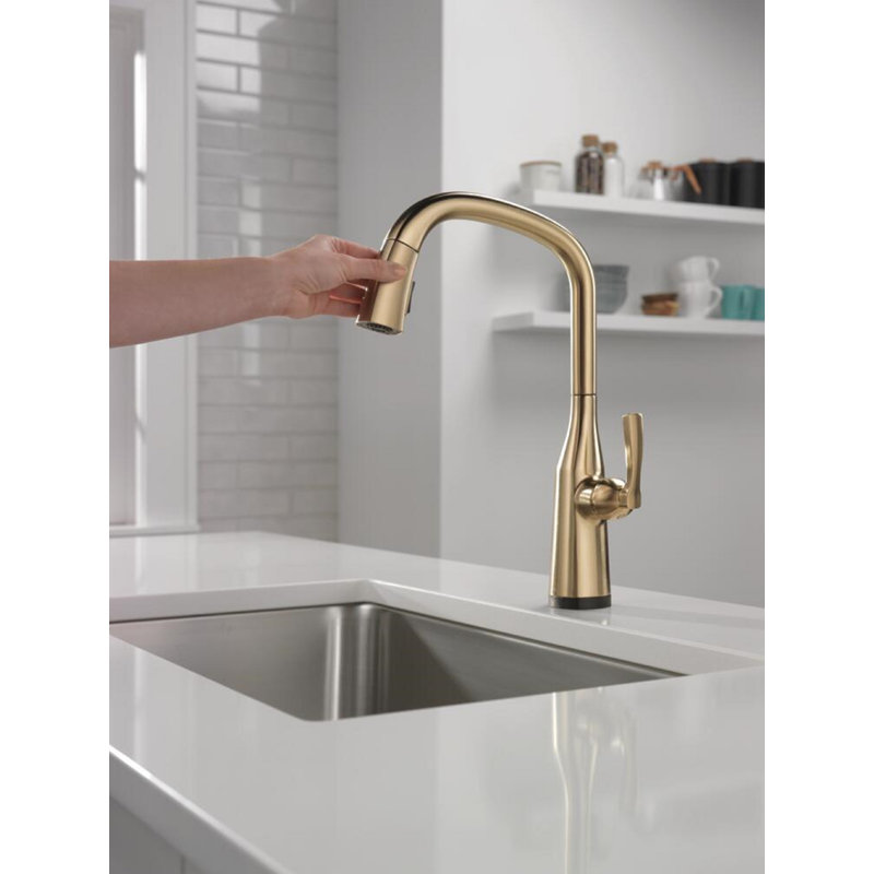 Robinet de cuisine à poignée simple Stryke avec technologie Touch2O et accessoires, Bronze champagne