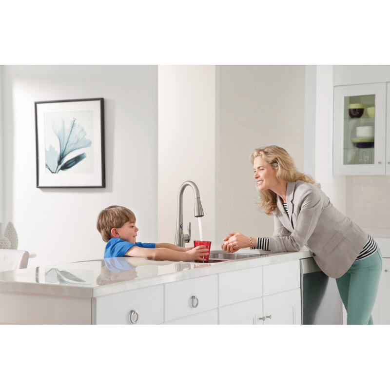 Robinet de cuisine à poignée simple Arbor, Acier inoxydable résistant aux taches